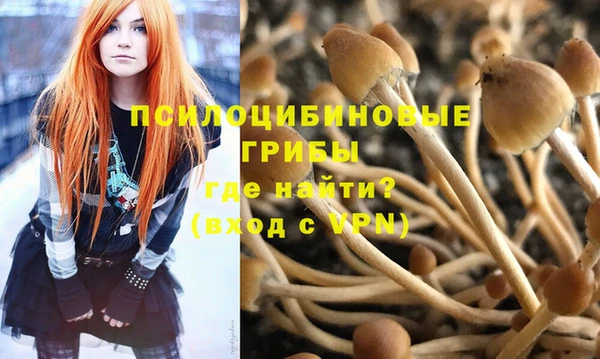 PSILOCYBIN Абинск
