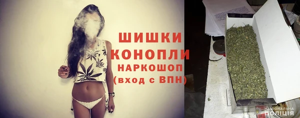 крисы Покачи