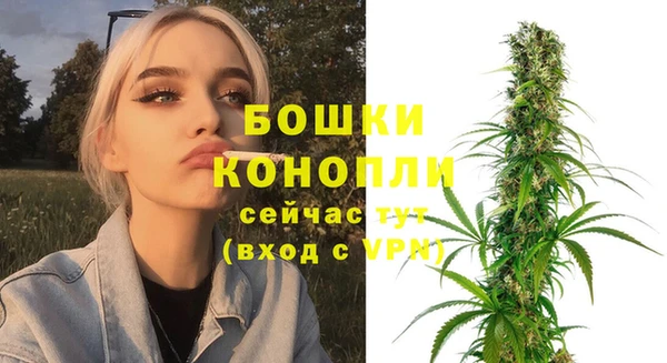 крисы Покачи