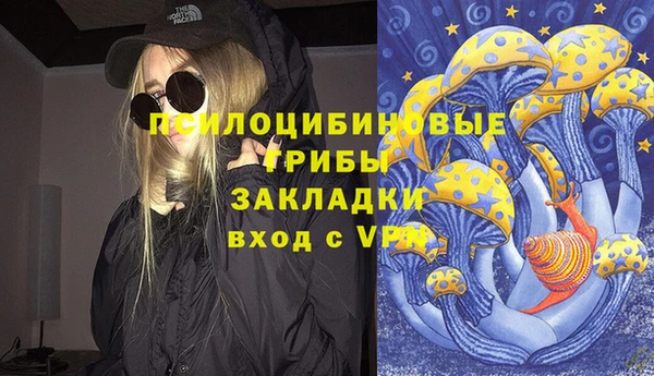 PSILOCYBIN Абинск