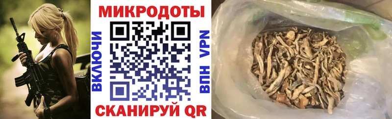 Псилоцибиновые грибы GOLDEN TEACHER Братск