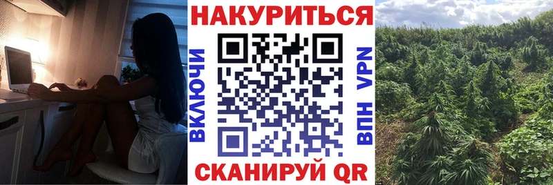 Канабис план  кракен рабочий сайт  Братск  наркотики 